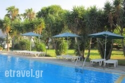 Apartments Seagull in Agios Sostis , Tinos, Cyclades Islands