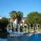 Apartments Seagull_lowest prices_in_Apartment_Dodekanessos Islands_Kos_Kos Chora