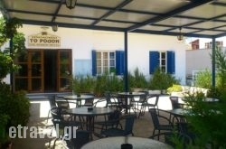 Rodon in Skala, Patmos, Dodekanessos Islands