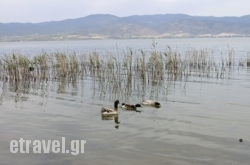 Limnes Villas in Kea Chora, Kea, Cyclades Islands