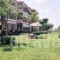 Stella-Meri Studios Apartments_best deals_Apartment_Macedonia_Halkidiki_Nea Skioni
