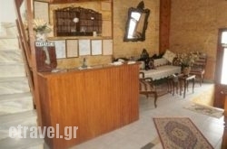 Regina in Delfi, Fokida, Central Greece