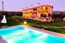 Messinian Horizons in  Gargaliani, Messinia, Peloponesse