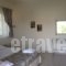 Yasemi Rooms & Studios_best deals_Room_Ionian Islands_Lefkada_Vasiliki