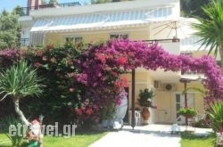 Ianos in Naxos Chora, Naxos, Cyclades Islands