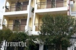 Karis in Kos Chora, Kos, Dodekanessos Islands