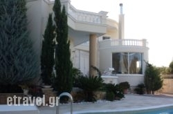 Villa Kokkalis in Gouves, Heraklion, Crete