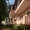 Athina Studios_best deals_Room_Ionian Islands_Corfu_Palaeokastritsa