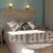 Studios Sole e Mare_best deals_Hotel_Aegean Islands_Thasos_Thasos Chora