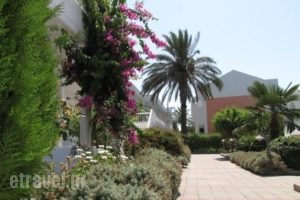 Valsami Hotel Apartments_best prices_in_Apartment_Dodekanessos Islands_Rhodes_Rhodes Rest Areas