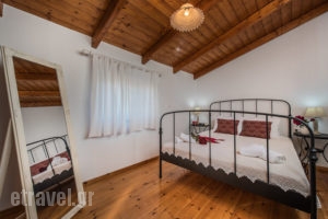 Lofos Soilis_holidays_in_Room_Ionian Islands_Zakinthos_Zakinthos Rest Areas