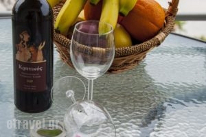 Apartments Elenis Seasons_lowest prices_in_Apartment_Macedonia_Halkidiki_Haniotis - Chaniotis