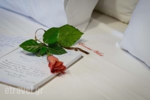 Eumaeus Villas Ithaki_accommodation_in_Villa_Ionian Islands_Ithaki_Ithaki Rest Areas