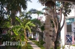 Meltemi in Stylida, Fthiotida, Central Greece