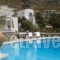 Olia Hotel_accommodation_in_Hotel_Cyclades Islands_Mykonos_Mykonos ora