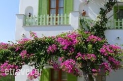Elena Studios in Piso Livadi, Paros, Cyclades Islands