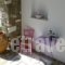 Elena Studios_best prices_in_Hotel_Cyclades Islands_Paros_Piso Livadi