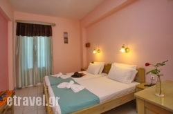 Dolphin in Limenaria, Thasos, Aegean Islands