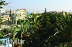 Gorgona in Sandorini Rest Areas, Sandorini, Cyclades Islands