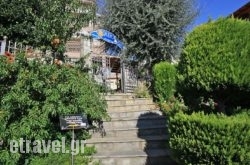 Naias in Trizonia Rest Areas, Trizonia, Piraeus Islands - Trizonia