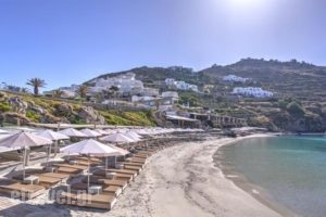 Mykonos_travel_packages_in_Cyclades Islands_Mykonos_Ornos