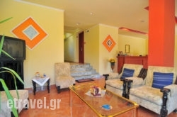 Dolphins in Kefalonia Rest Areas, Kefalonia, Ionian Islands