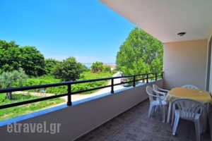 Dolphins_lowest prices_in_Hotel_Ionian Islands_Kefalonia_Karavados