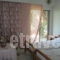 Nick House_holidays_in_Room_Aegean Islands_Lesvos_Plomari