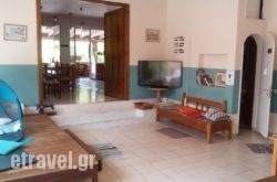 Wilde Rose in Folegandros Chora, Folegandros, Cyclades Islands