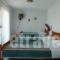 Athena Haus_holidays_in_Hotel_Macedonia_Pieria_Olympiaki Akti