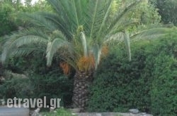 Mountain Vista Resort in Akrotiri, Chania, Crete