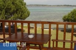 Studios Efi in Paros Chora, Paros, Cyclades Islands