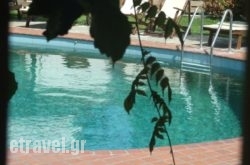 Theodora Studios in Kos Chora, Kos, Dodekanessos Islands