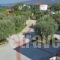 Mythos Bungalows_accommodation_in_Hotel_Aegean Islands_Thasos_Thasos Chora