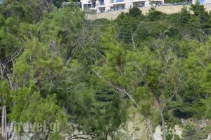 Xenia Residence & Suites_best deals_Hotel_Central Greece_Fthiotida_Malesina