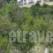 Xenia Residence & Suites_best deals_Hotel_Central Greece_Fthiotida_Malesina