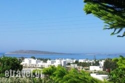 Narkissos Studios in Antiparos Rest Areas, Antiparos, Cyclades Islands