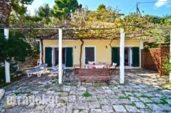 Turtle Beach in Kassandreia, Halkidiki, Macedonia