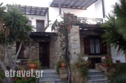 Kochili in Agistri Rest Areas, Agistri, Piraeus Islands - Trizonia