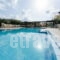 Bellino Apartments_best prices_in_Room_Crete_Heraklion_Chersonisos