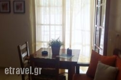 Olympic Holiday Zigos in Arachova, Viotia, Central Greece