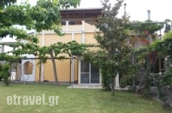 Repo Studio in Petra, Lesvos, Aegean Islands