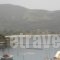 Hotel Papagalos_best deals_Hotel_Macedonia_Halkidiki_Neos Marmaras