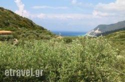 Ionio Studios in Naxos Chora, Naxos, Cyclades Islands