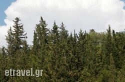 Afroditi Studios in Kassandreia, Halkidiki, Macedonia