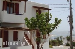 Studios Venetsanos in Platanias, Chania, Crete