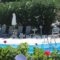 Eriphilly Studios & Apartments_best deals_Apartment_Aegean Islands_Lesvos_Mythimna (Molyvos)