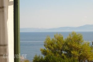 Villa Baronnos_holidays_in_Villa_Ionian Islands_Paxi_Paxi Rest Areas