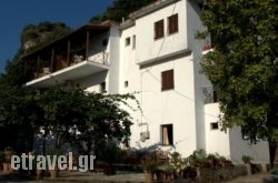 Oasis in Papiggo , Ioannina, Epirus